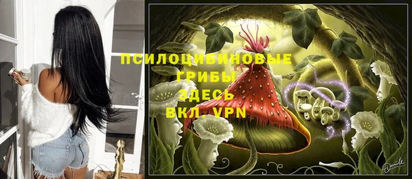 прущие грибы Алексин
