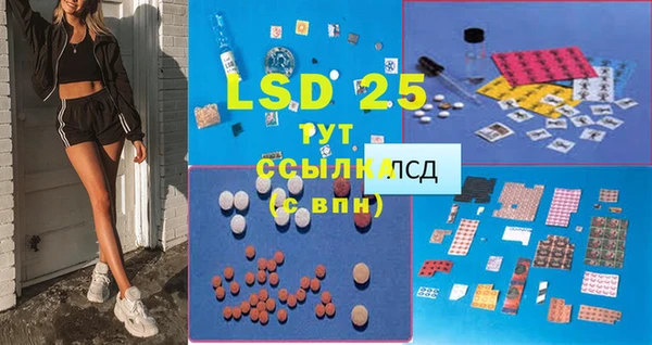 прущие грибы Алексин