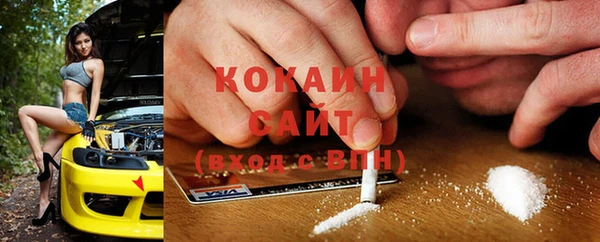 МДПВ Алзамай