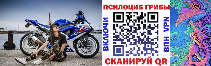 Псилоцибиновые грибы прущие грибы цена наркотик OMG как войти Далматово